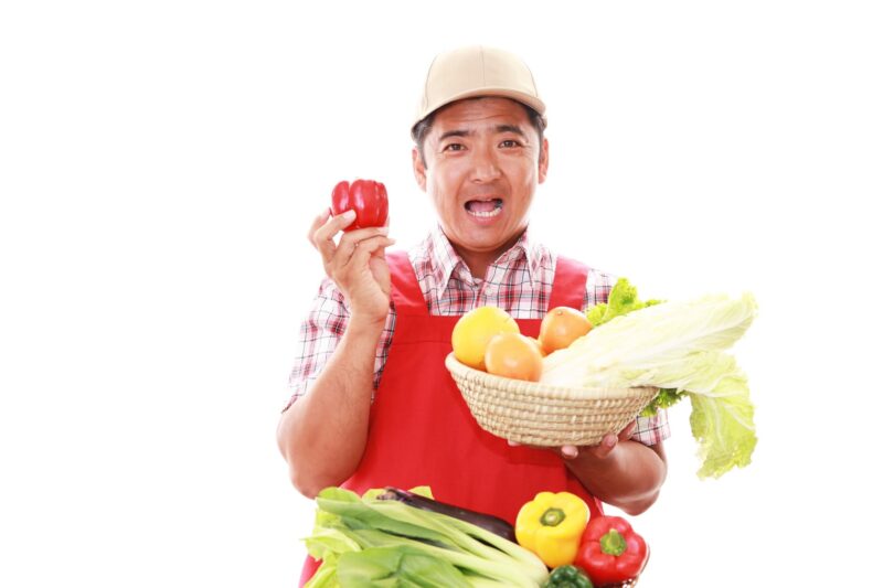 野菜をイメージできる画像