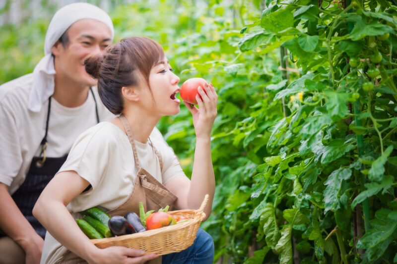 そもそもベジファーストとは？をイメージできる画像
