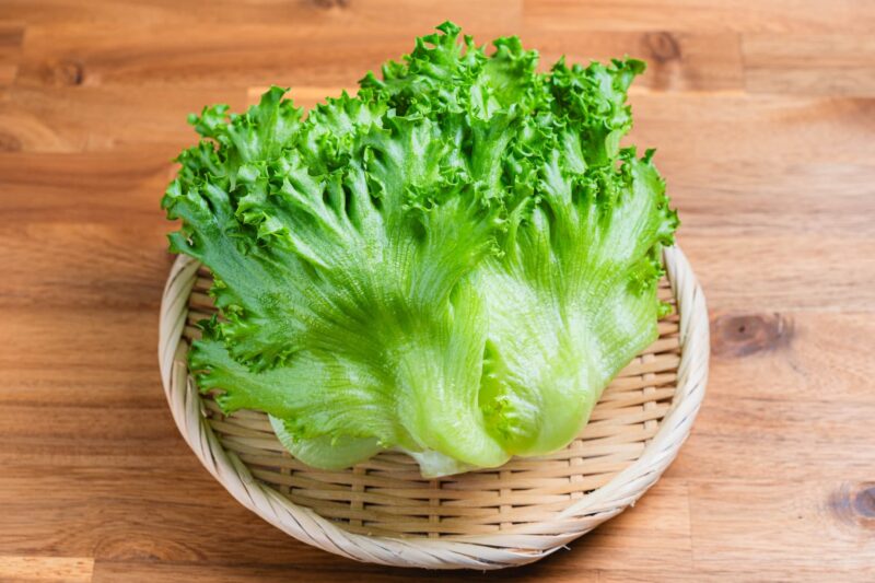 葉物野菜をイメージできる画像