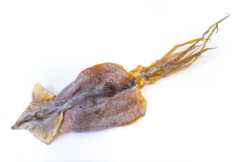 スルメをイメージできる画像