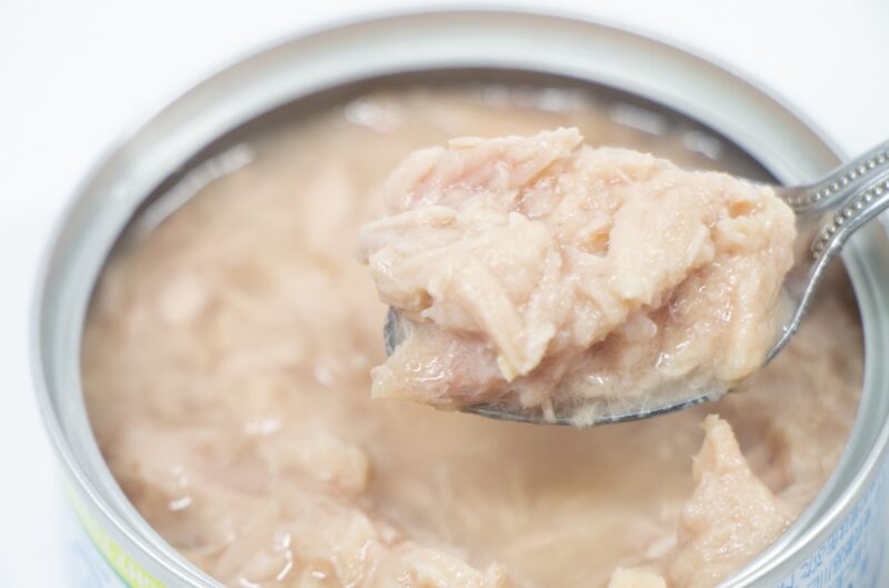 ツナ缶(水煮)をイメージできる画像