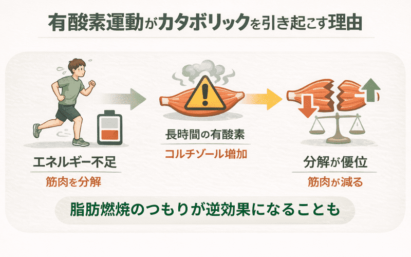 有酸素運動がカタボリックを引き起こす3つの理由をイメージできる画像