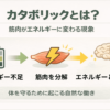カタボリックとは「筋肉が減る現象」のことをイメージできる画像