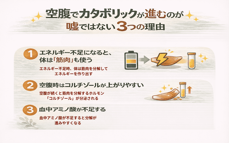 空腹でカタボリックが進むのは嘘ではないをイメージできる画像