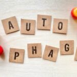 昼食抜きダイエットはオートファジーが鍵！やり方・メリット・注意点を紹介をイメージできる画像