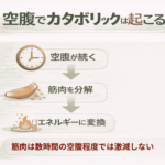 空腹でカタボリックが進むのは嘘ではないをイメージできる画像